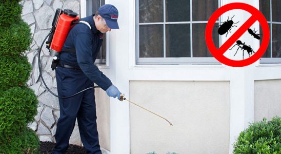 Evka 4 Sivrisinek İlaçlama böcek ilaçlama ve haşere kontrolü — ilaclama-tr.com